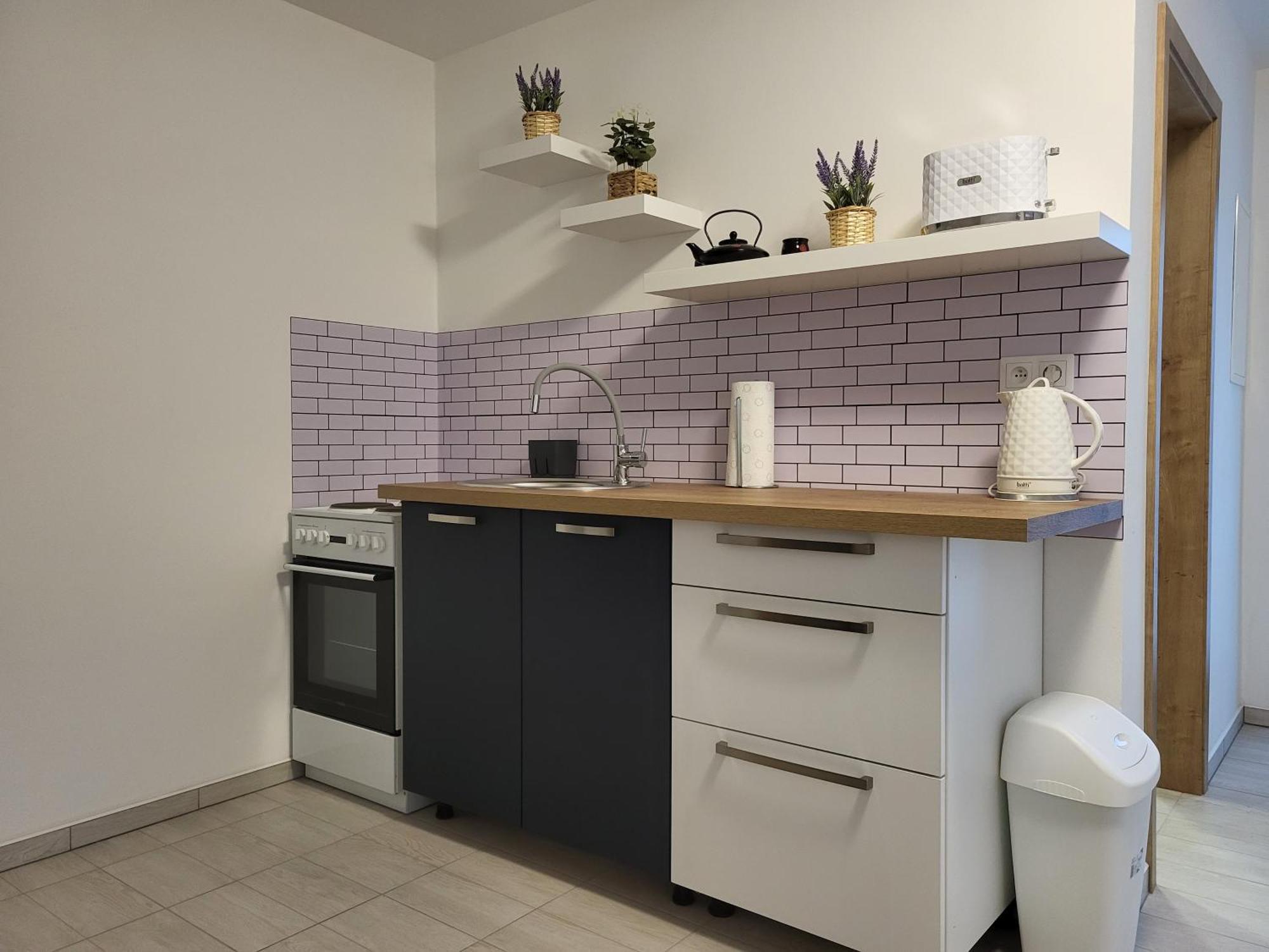 Apartman Na Karlicku Karlov  Buitenkant foto