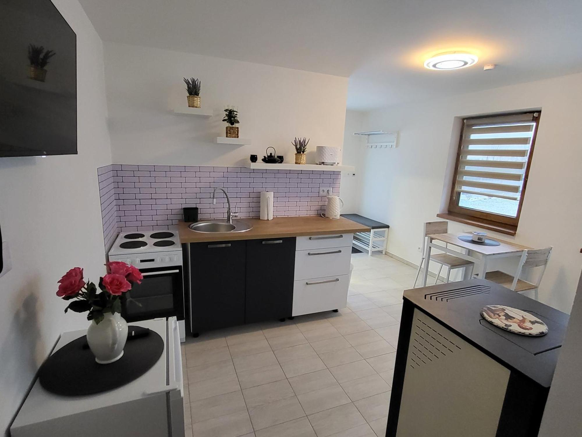 Apartman Na Karlicku Karlov  Buitenkant foto